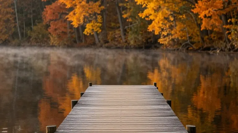 Ilhan Omar shares lakeside stroll video days after DC raid
